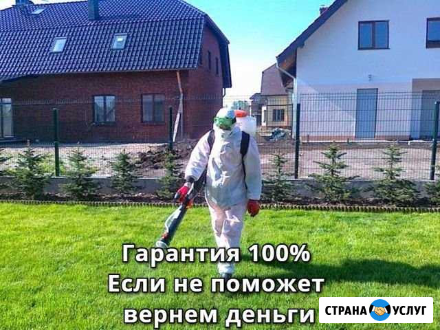 Обработка участков от клещей. Акарицидная обработк Санкт-Петербург - изображение 1