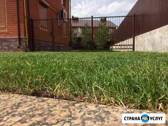 Ландшафтный дизайн,продажа,укладка рулонного газон Стерлитамак