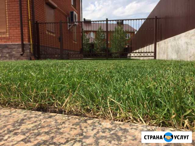 Ландшафтный дизайн,продажа,укладка рулонного газон Стерлитамак - изображение 1