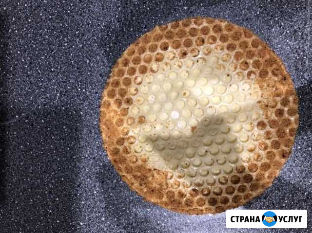 Медовик Калининград - изображение 1