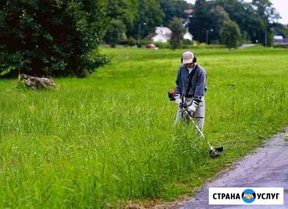 Покос травы, вырубка кустарников, спил деревьев, к Ижевск