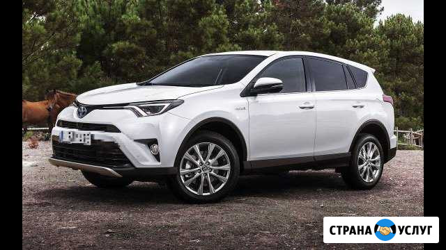 Аренда авто с водителеи Иркутск - изображение 1