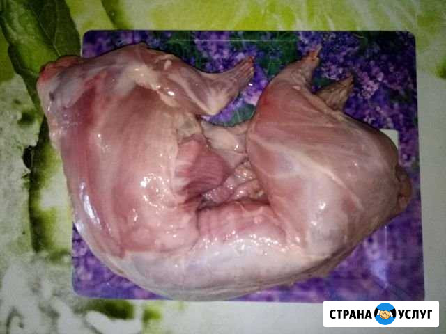 Мясо кролика Пенза - изображение 1
