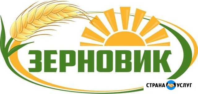 Закупаем зерновые, крупяные, масличные, отходы Барнаул - изображение 1