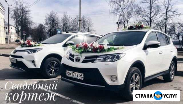 Пассажирские перевозки Кострома - изображение 1