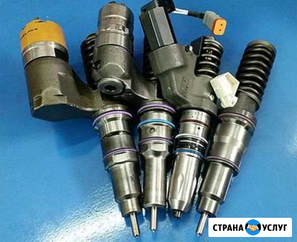 Ремонт насос форсунок и насосных секции дизельных Омск - изображение 1