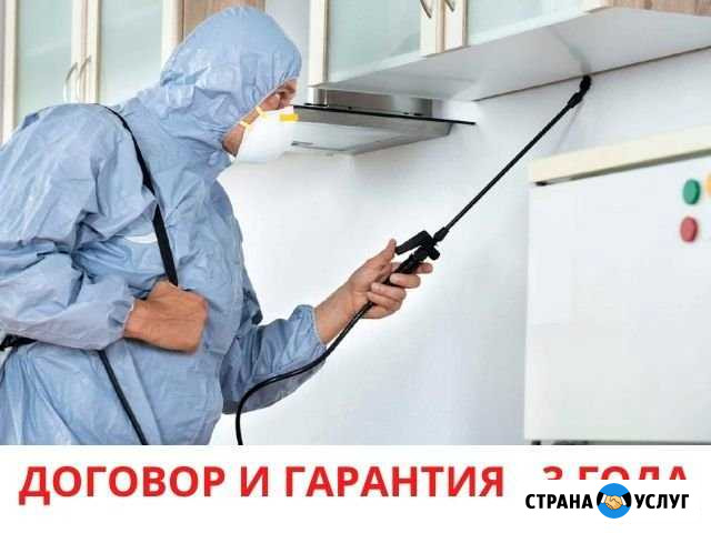 Уничтожение насекомых, грызунов, клопов, тараканов Санкт-Петербург - изображение 1