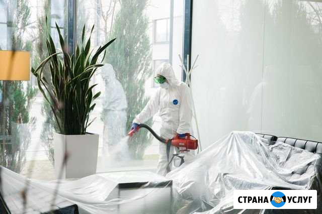 Антибактериальная обработка помещений Екатеринбург - изображение 1