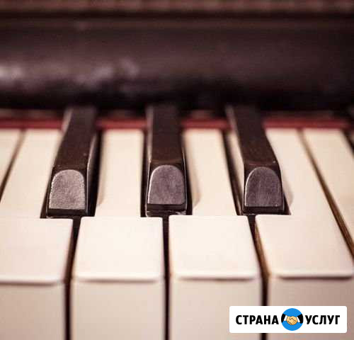 Уроки музыки онлайн, работа с музыкой Новосибирск - изображение 1