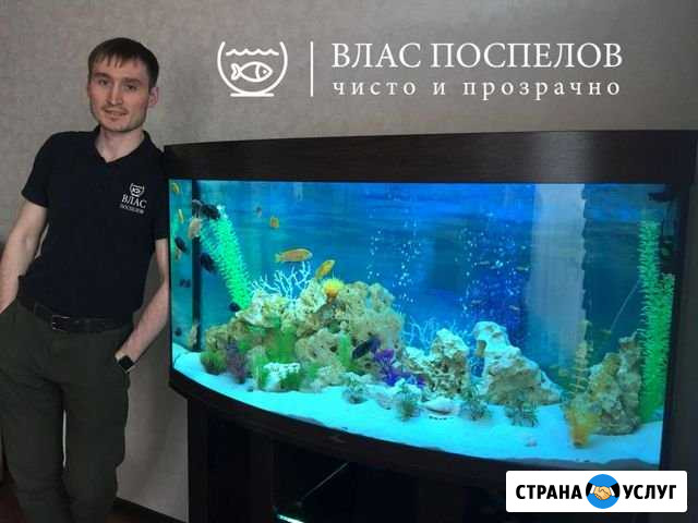 Изготовление, обслуживание, чистка аквариумов Ханты-Мансийск - изображение 1