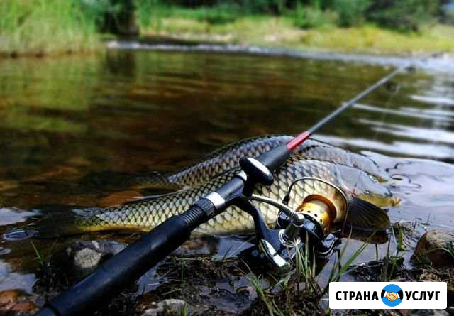 Рыбалка.Карп.Клевое место Елховка - изображение 1