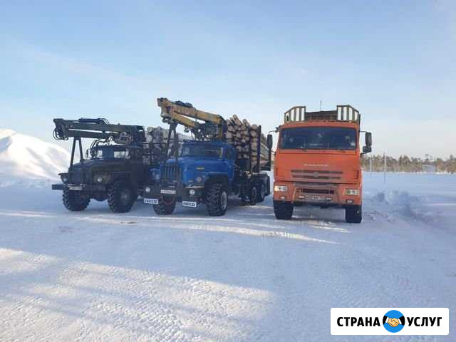 Вырубка леса и кустарника, утилизация Нефтеюганск - изображение 1
