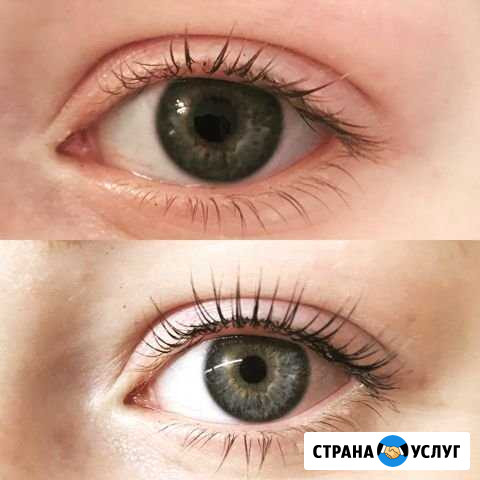 Ламинирование ресниц Барнаул - изображение 1