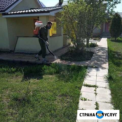 Обработка от комаров, клещей, тараканов,грызунов Самара - изображение 1