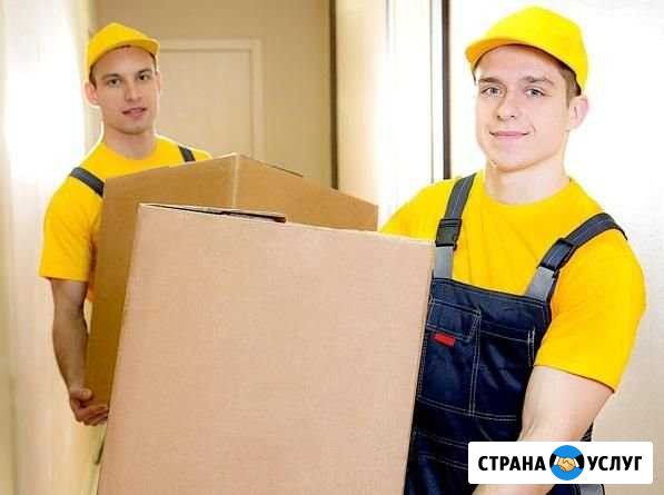Переезды / грузчики / грузоперевозки Ростов-на-Дону - изображение 1
