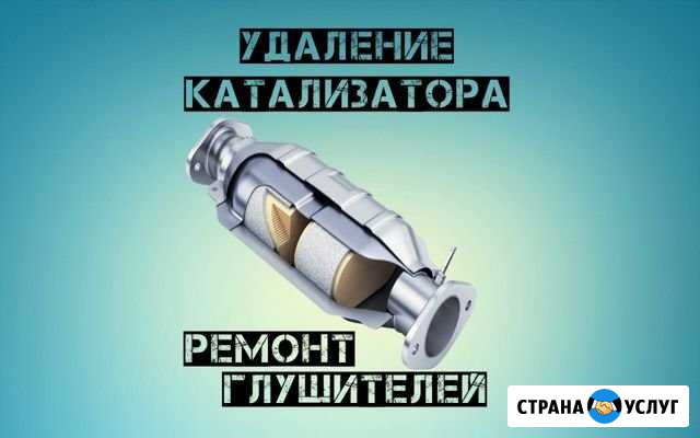 Удаление катализатора, пламегаситель с установкой Одинцово - изображение 1