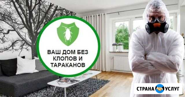 Уничтожение клопов,тараканов и муравьёв Копейск - изображение 1