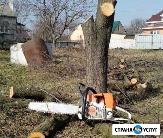 Спил и вывоз деревьев Таганрог - изображение 1