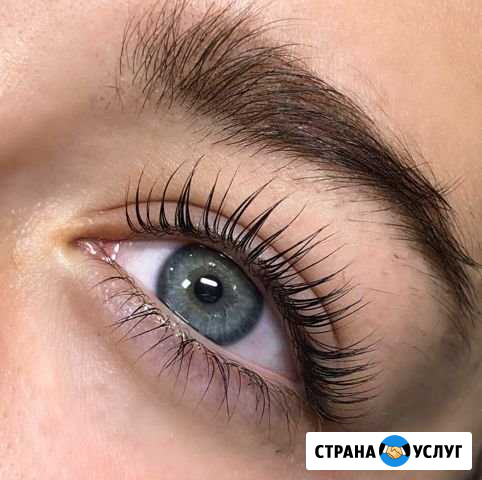 Ламинирование ресниц/услуги бровиста Новороссийск - изображение 1