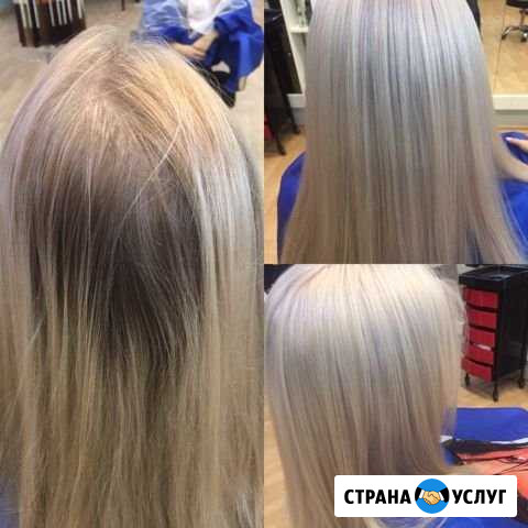 Колорист Калининград - изображение 1