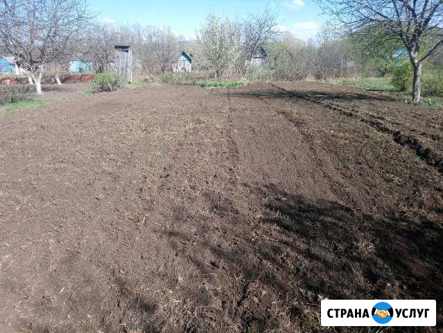 Культивирую сады и огороды фрезой Аша - изображение 1