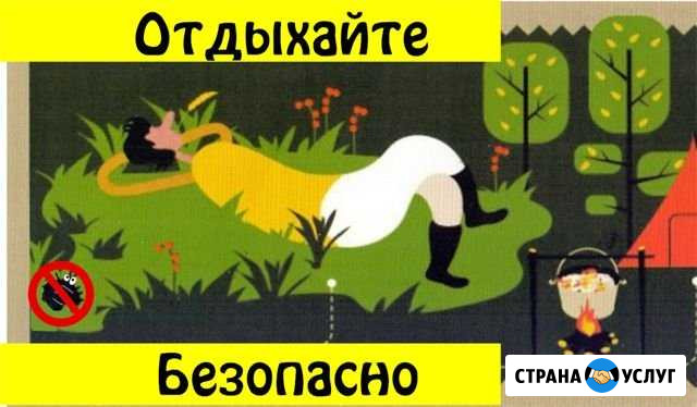 Обработка участков от клещей (от 3х соток) Кемерово - изображение 1