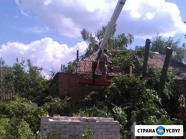 Спил деревьев, расчистка от поросли Белгород - изображение 1