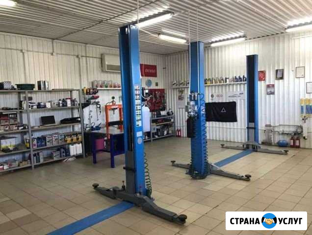 Прием катализаторов, удалить катализатор Домодедово - изображение 1