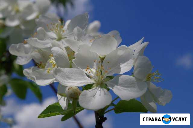 Фотограф профессионал Таловая - изображение 1