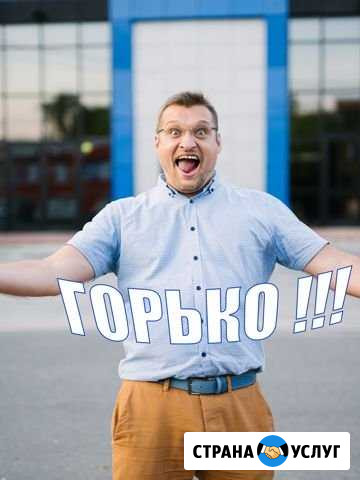 Ведущий/тамада, dj на свадьбу Бронницы Бронницы - изображение 1