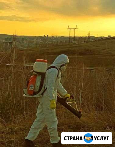 Дезинфекция, дератизация, дезинсекция, дезодорация Иваново - изображение 1