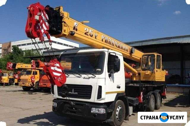 Услуги (аренда) автокрана 25 тонн Тула - изображение 1