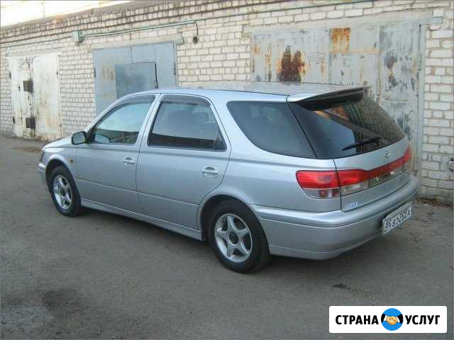 Заднее стекло под рекламу Новосибирск - изображение 1