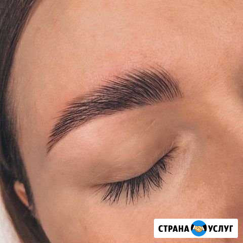 Бровист Петрозаводск - изображение 1