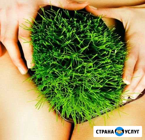 Депиляция/Шугаринг/ Skin’s. Без Боли/Таганская Москва - изображение 1
