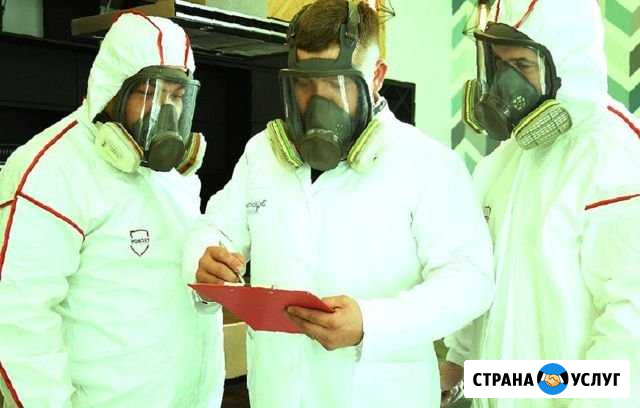 Дезинфекция на любых объектах Иваново - изображение 1