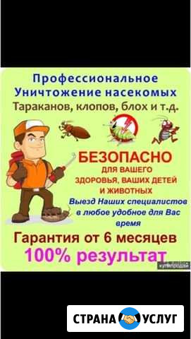 Уборка Щёлково - изображение 1