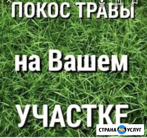 Покос травы, уборка территории, санитарная обработ Ильинский - изображение 1