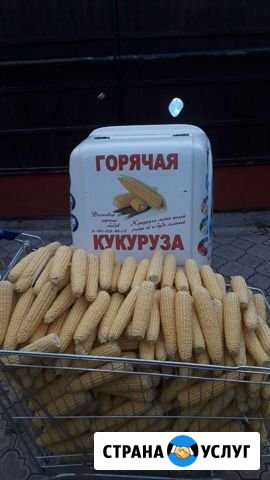 Доставка варёной кукурузы Ейск - изображение 1