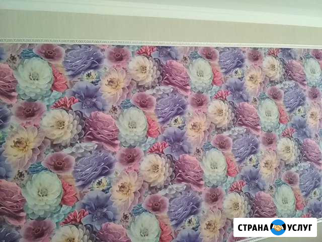 Женщина Маляр Калининград - изображение 1