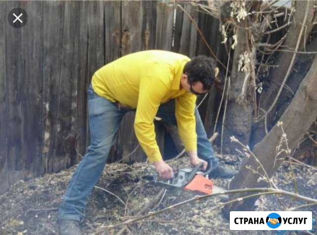 Спил деревьев кронирование утилизация веток Кисловодск - изображение 1