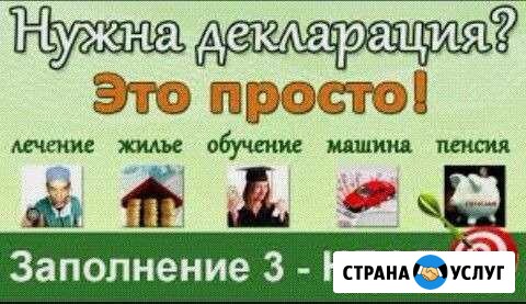 Декларация Нижневартовск - изображение 1