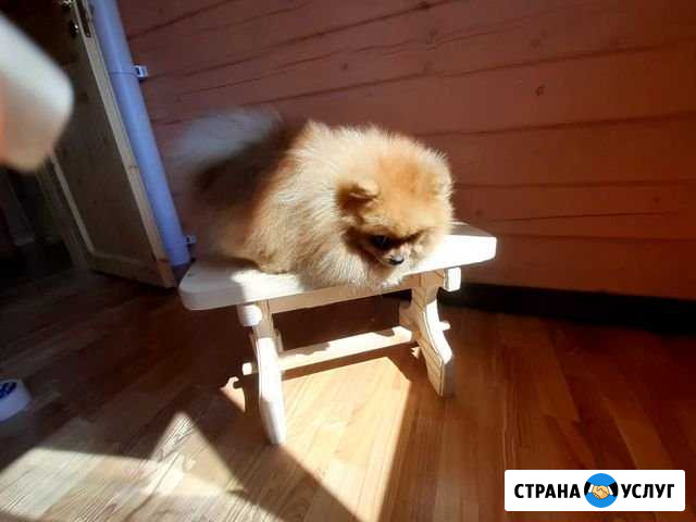 Изделия из дерева Мурино - изображение 1