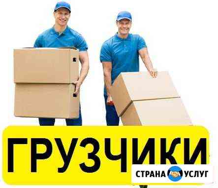 Грузчики, Переезды, Сборка мебели Махачкала
