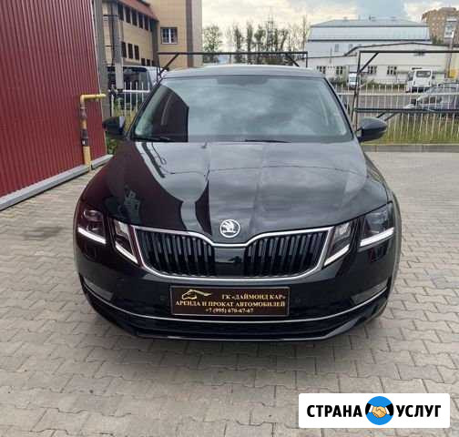 Прокат аренда авто Шкода Октавия (г. Смоленск ) Смоленск - изображение 1