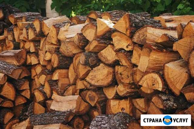 Дрова Калининград - изображение 1