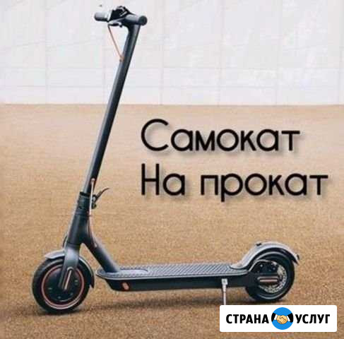 Электросамокат на прокат Красноярск - изображение 1