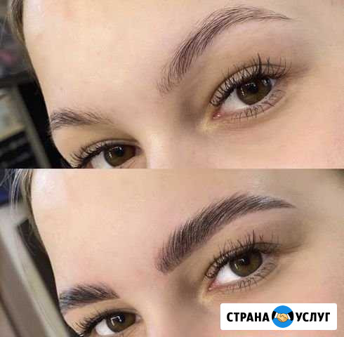 Окрашивание и ламинирование бровей Барнаул - изображение 1