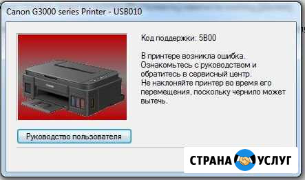 Canon G1400 G2400 G3400 ошибка 5B00 сброс Волжский Волгоградской области - изображение 1