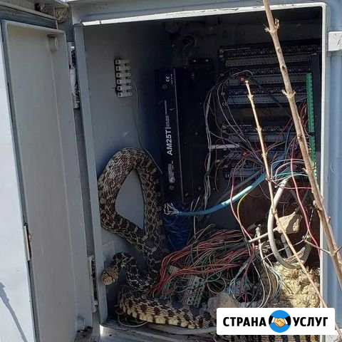 Услуга электромонтажная работа Истра - изображение 1